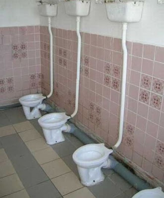 unusual toilets