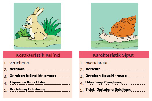 Materi dan  Kunci Jawaban Tematik Kelas 5 Tema 1 Subtema 1 