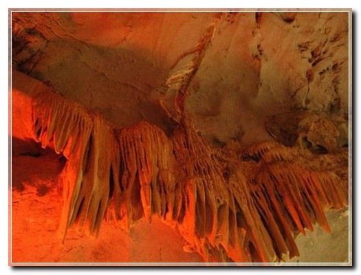 ImageView_003