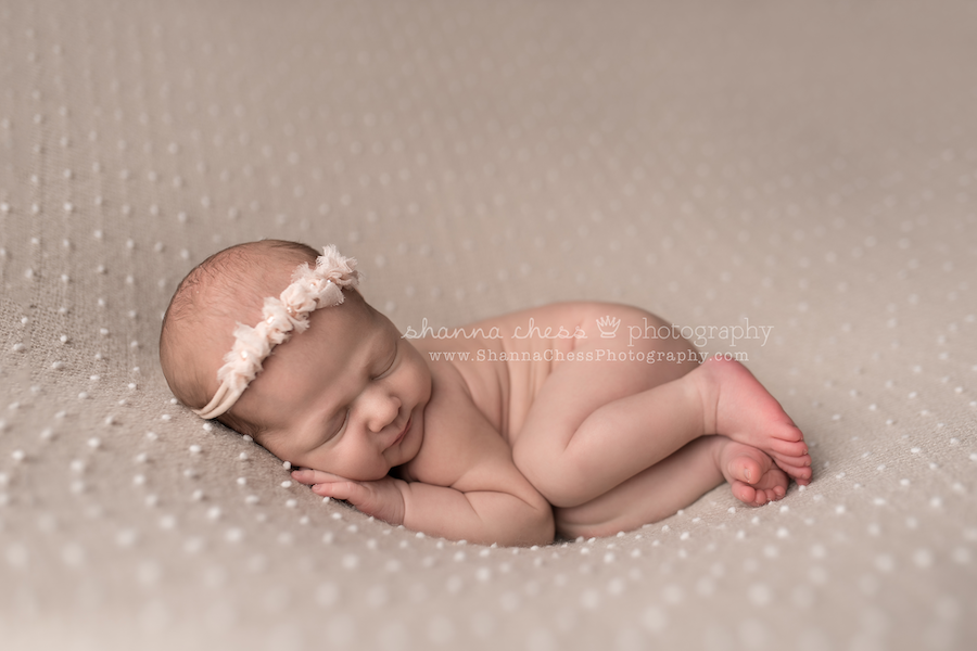 eugene oregon newborn portraits