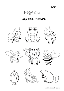 דפי עבודה בעלי חיים לילדים בגיל 5-6