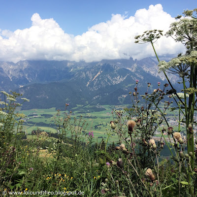  Wilde Blumen / Blumenwiese / Ausblick / Berge / Tal / Austria / Österreich / Salzburger Land