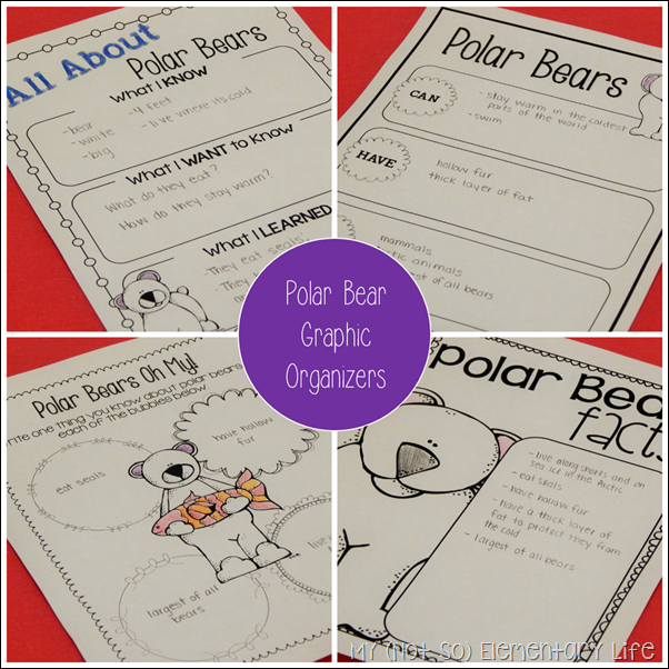 polar bear graphic organizers