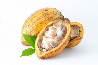 cacao peruano, chocolate peruano, republica del cacao, día del cacao y chocolote peruano