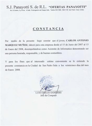 Curriculum Vitae: julio 2008