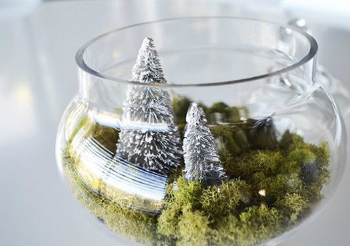 https://laurenconrad.com/blog/2015/12/deck-the-halls-diy-winter-terrariums/