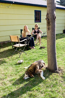 photo of a dog lying under a tree with two people sitting in chairs in the background