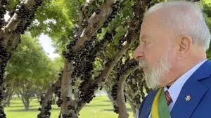 Lula e a jabuticaba