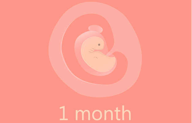  🤰First Month of Pregnancy ❤️