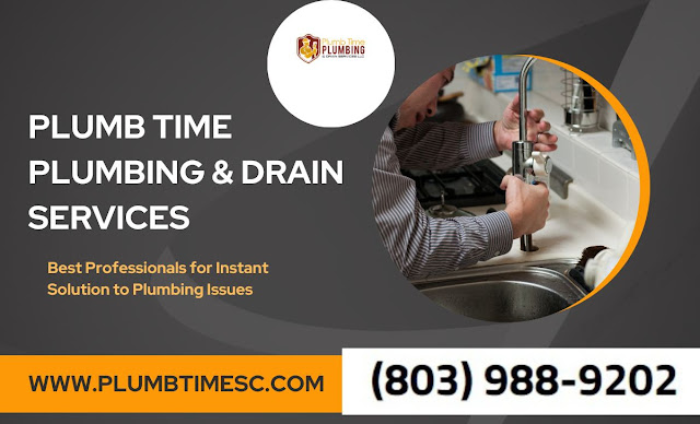 Hire Professionals for Instant Solution to Plumbing Issues
