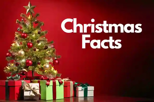 70+ Facts About Christmas In Hindi That You didn't Know