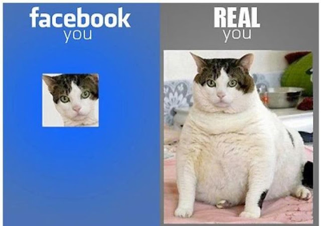 Facebook Vs Real