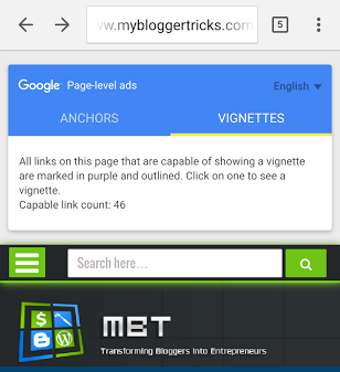 Anchors and Vignettes Ads