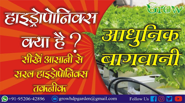 हाइड्रोपोनिक्स क्या है WHAT IS HYDROPONICS