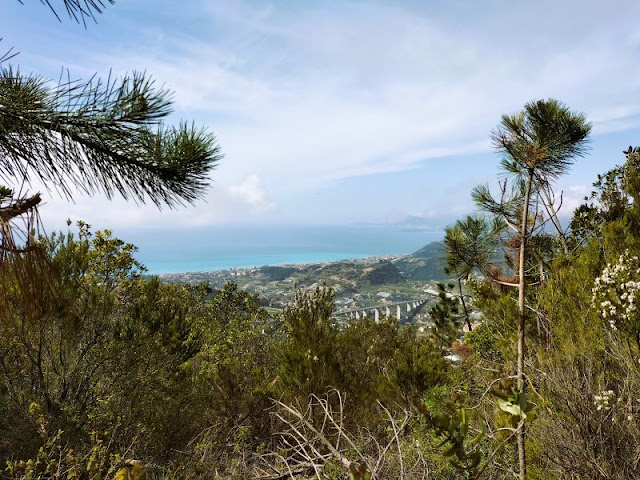 veduta Bordighera sentiero Liguria