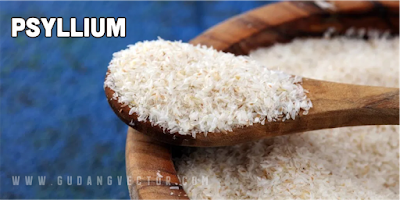 Psyllium Obat Kolesterol