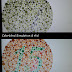 Enliven - Color Blind Aid Example