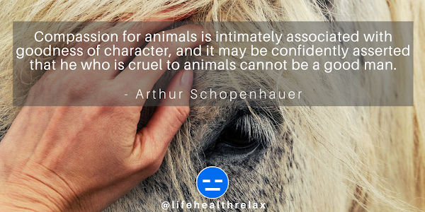 Arthur Schopenhauer Quotes