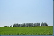 DSC_9666