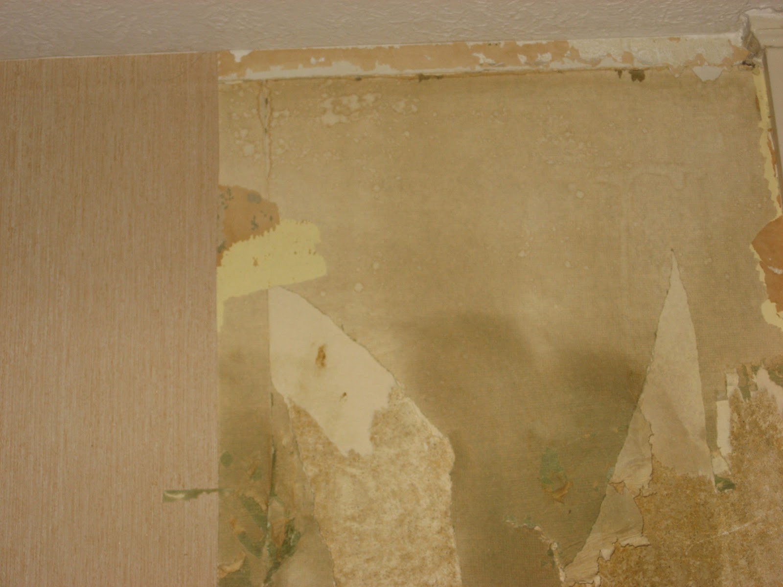 Wallpaper Removal Portland Oregon