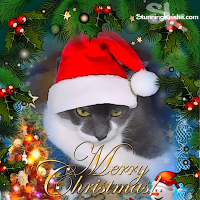 The Cat in the Santa Hat Art