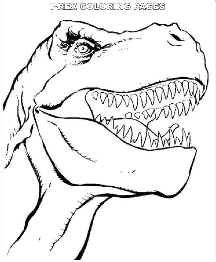 T Rex Head Coloring Pages For Adults