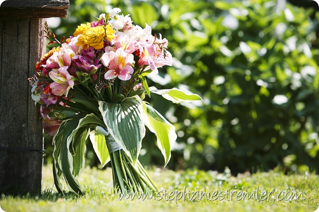 IMG_0799-Edit