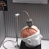 Brain Computer Interface Devices Helps in Curing Brain-Related Disorders