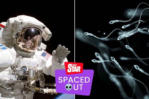 Astronauts warned not to masturbate in space as one session can 'impregnate 3 females'