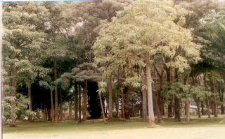 Lweza Conference Center