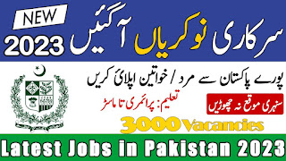 National Level Organization Jobs 2023 for Pakistani Nationals - Today Govt Jobs