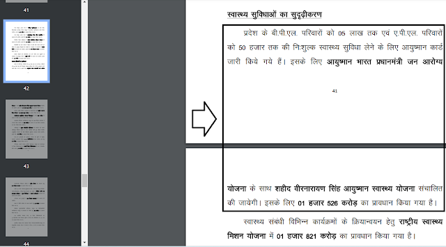 Shaheed Veer Narayan Singh Ayushman Swasthya Yojana Announcement in CG Budget 2024-25