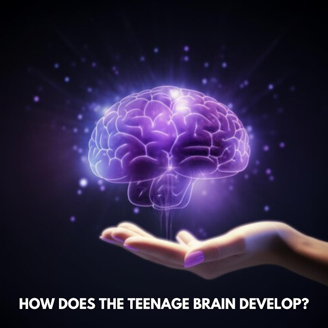Brain in hand visual image
