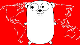 Web Development with Google’s Go (golang) Programming Language