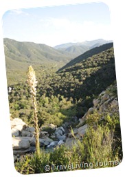 Pure Nature Pure Nature