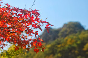 Autumn in Korea 