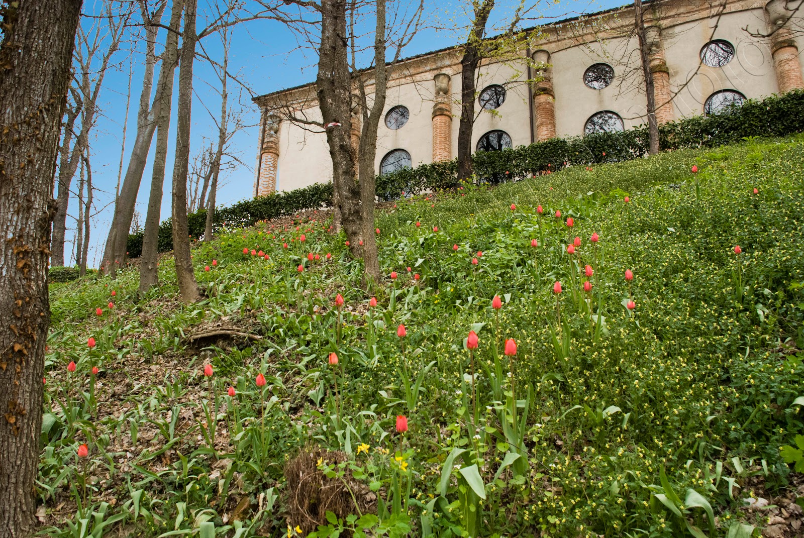 Fotografia Castello Govone