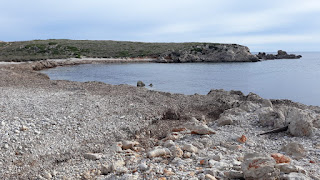 Cala Tusqueta.- Vista Parcial