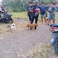 Anjing Liar Pemangsa Kambing Di Tiga Desa Kecamatan Kramatmulya Berhasil Ditangkap Tim Pemburu