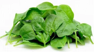 Raw spinach nutrition