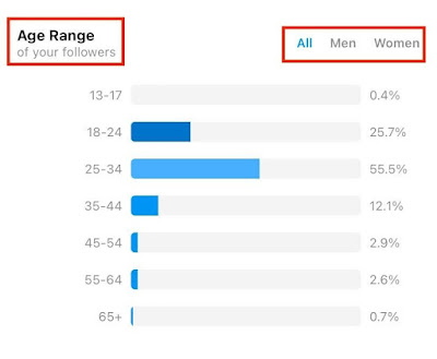 Age Range instagram insight