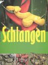 Schlangen