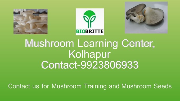 Mushroom Learning Center Kolhapur