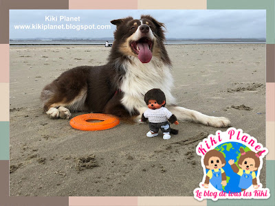 kiki Monchhichi beach plushie life kidult Australian shepherd berger australien