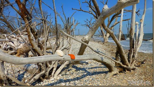 Botany Bay and the Boneyard_067