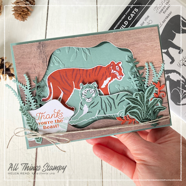 Stampin Up In The Wild Suite card ideas