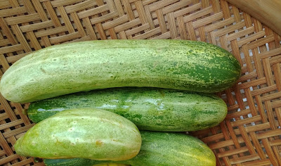 Cucumber benefits to skin