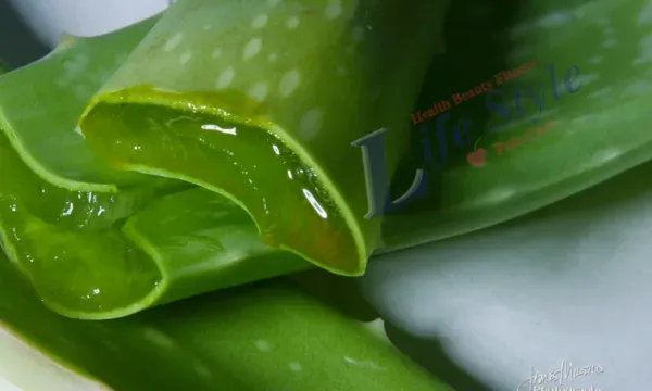 Aloe vera. The benefits of aloe vera for hair and ways of using it