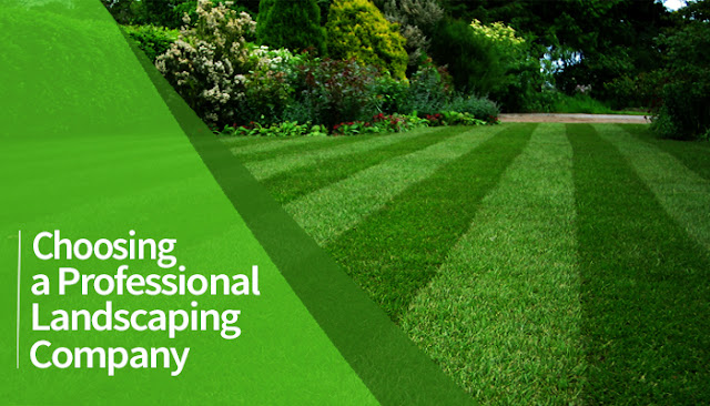 Landscaping company Dubai