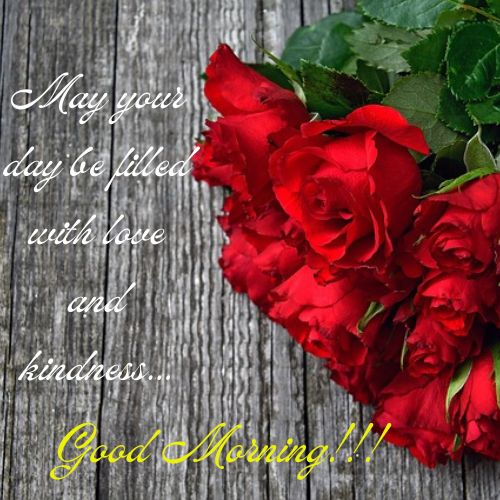 Red Roses Good Morning Images